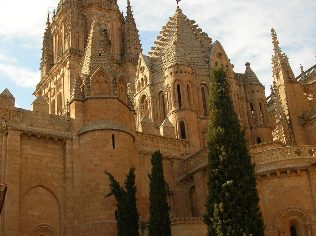 Salamanca Espectacular-萨拉曼卡必去景点