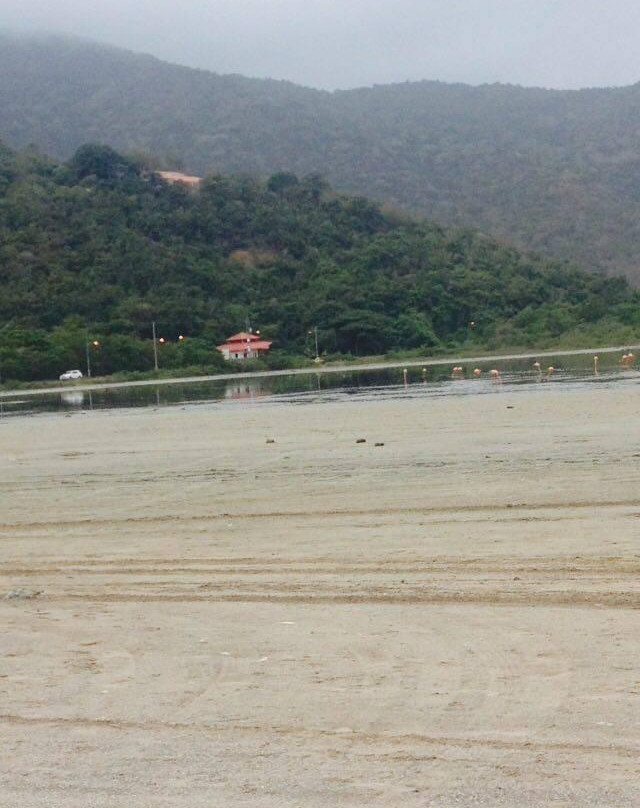 Laguna de la Bocaina景点图片