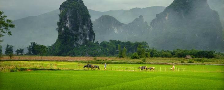 Ngoc Son Ngo Luong Nature Reserve-Hoa Binh Province必去景点