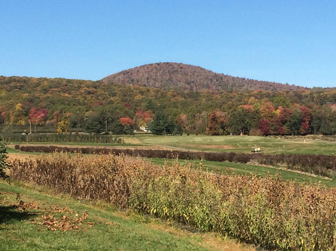 Catoctin Mountain Orchard-Thurmont必去景点