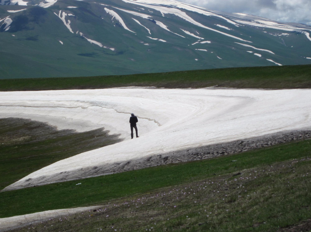 Madina旅游攻略图片