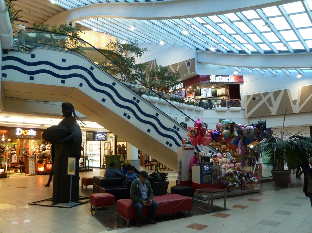 Mall Plaza Mirador Bio Bio景点图片