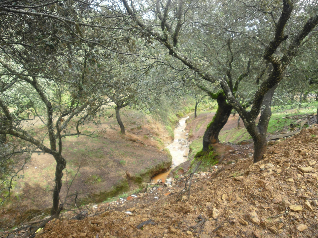 Finca Los Robledos景点图片