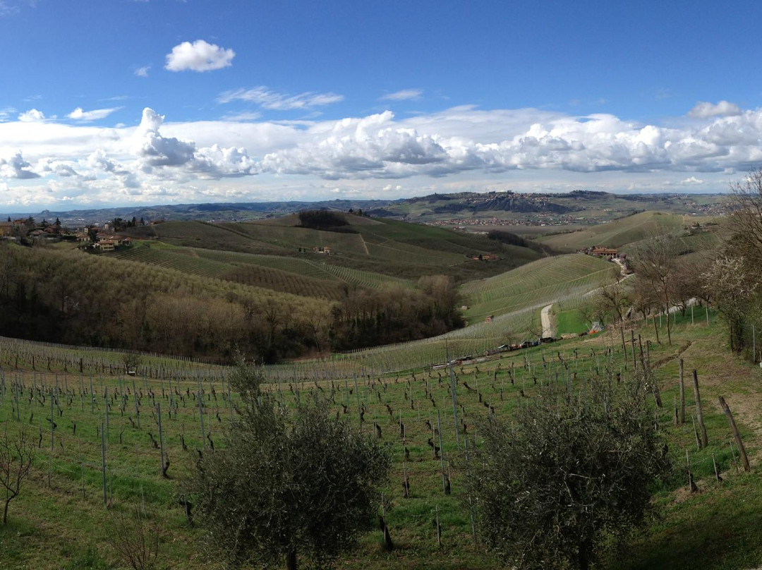 巴尔巴雷斯科酒店住宿-卡西那德雷罗赛酒店