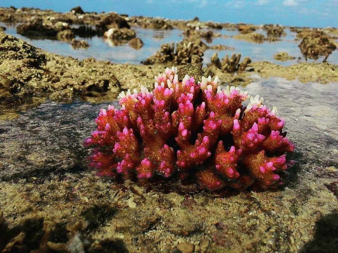 Enggano Island景点图片