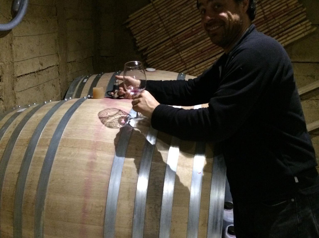 OWM-圣克鲁斯必去景点