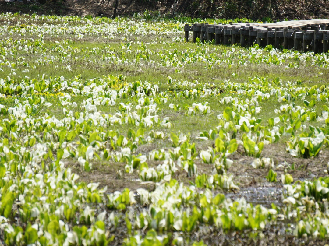 Ikegahara Wetlands Area-飞弹市必去景点