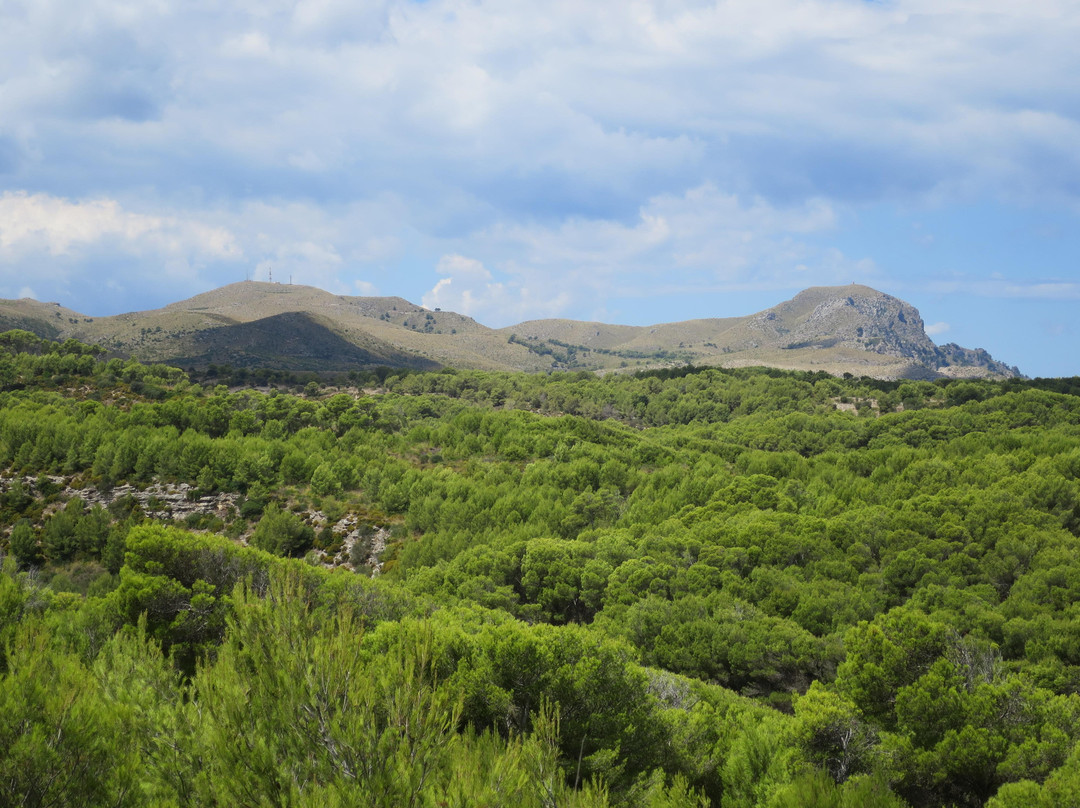 Puig de sa Tudosa景点图片