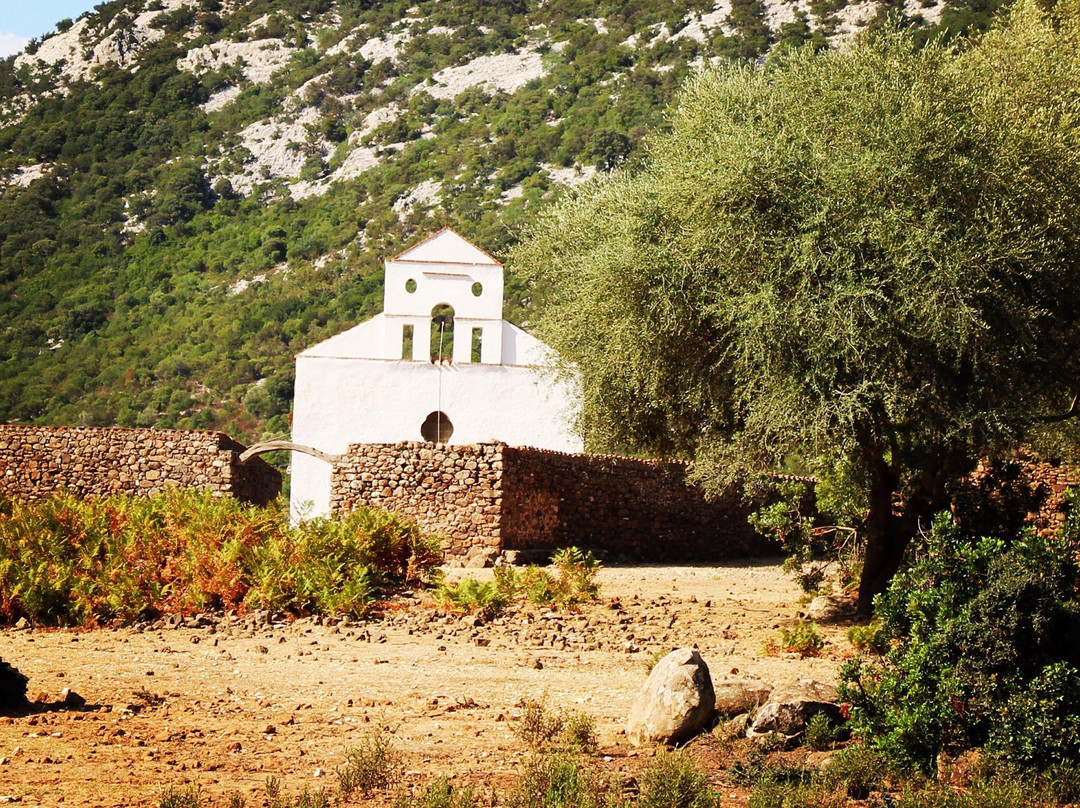 Chiesa di San Pietro al Golgo景点图片