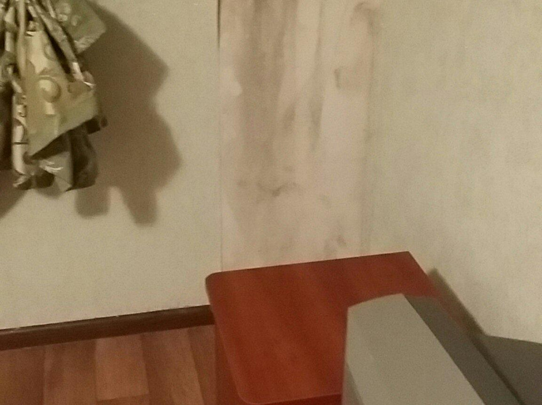 Chaika主图