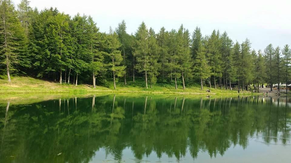 Montecreto旅游攻略图片