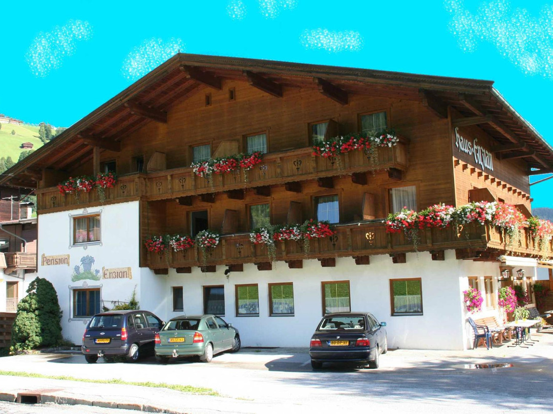 尼德豪酒店住宿-Pension Enzian