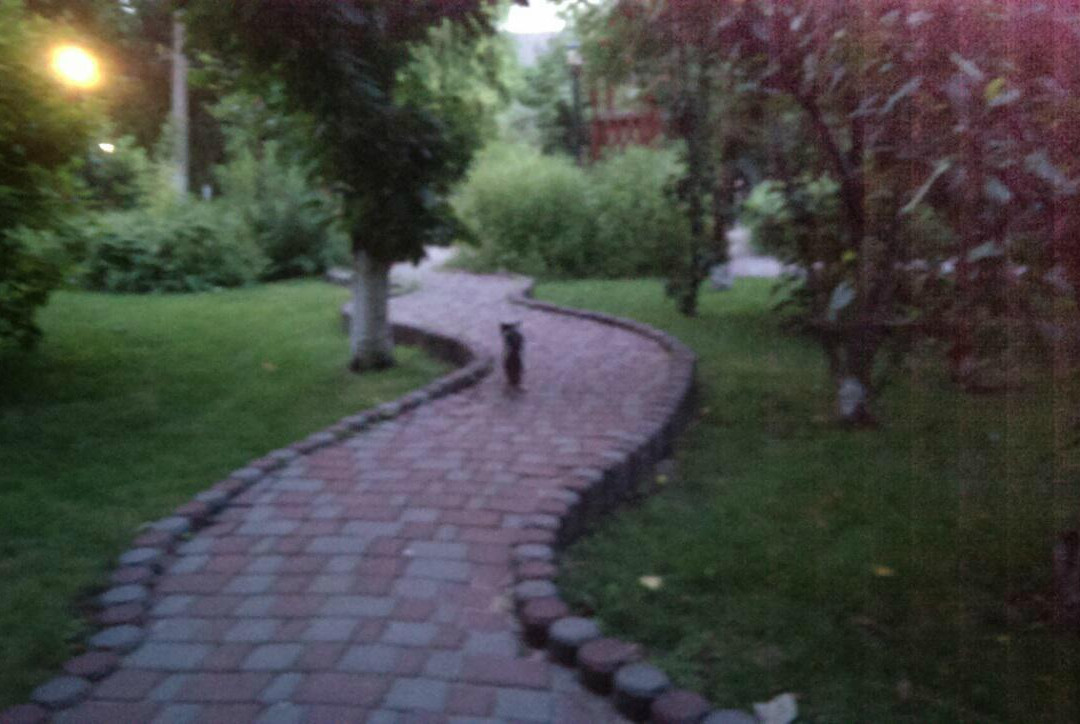 Sovinyon Resort主图