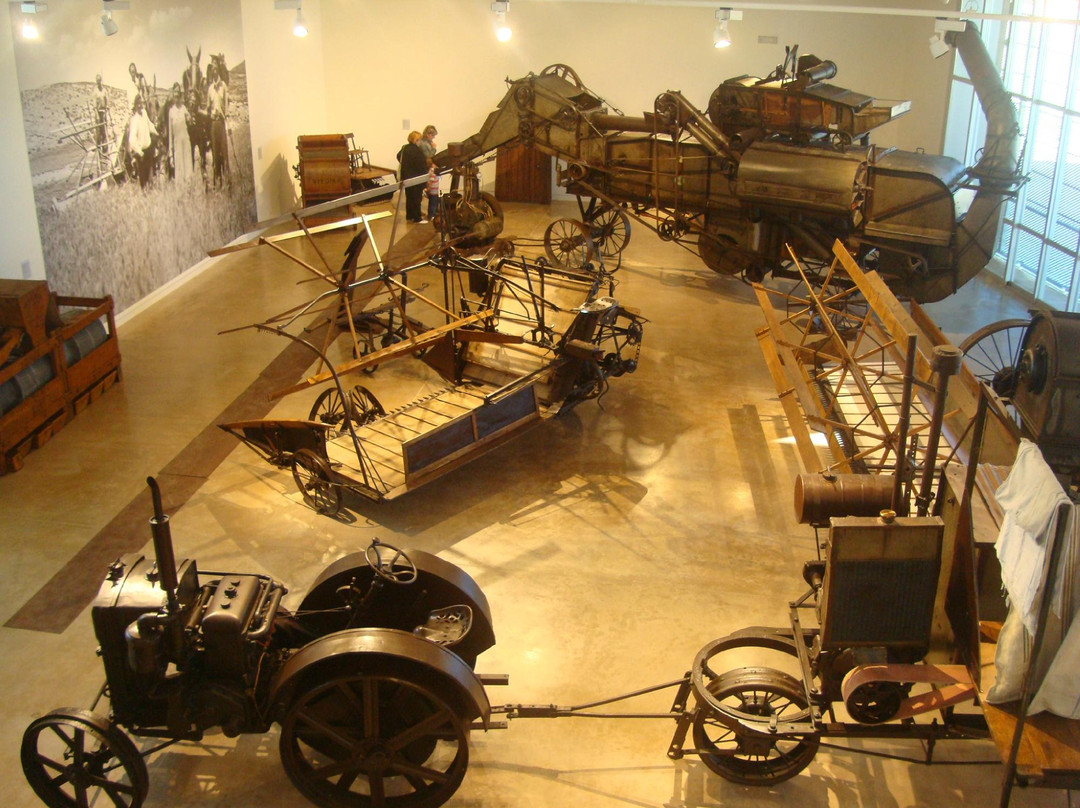 Museo Aquagraria景点图片