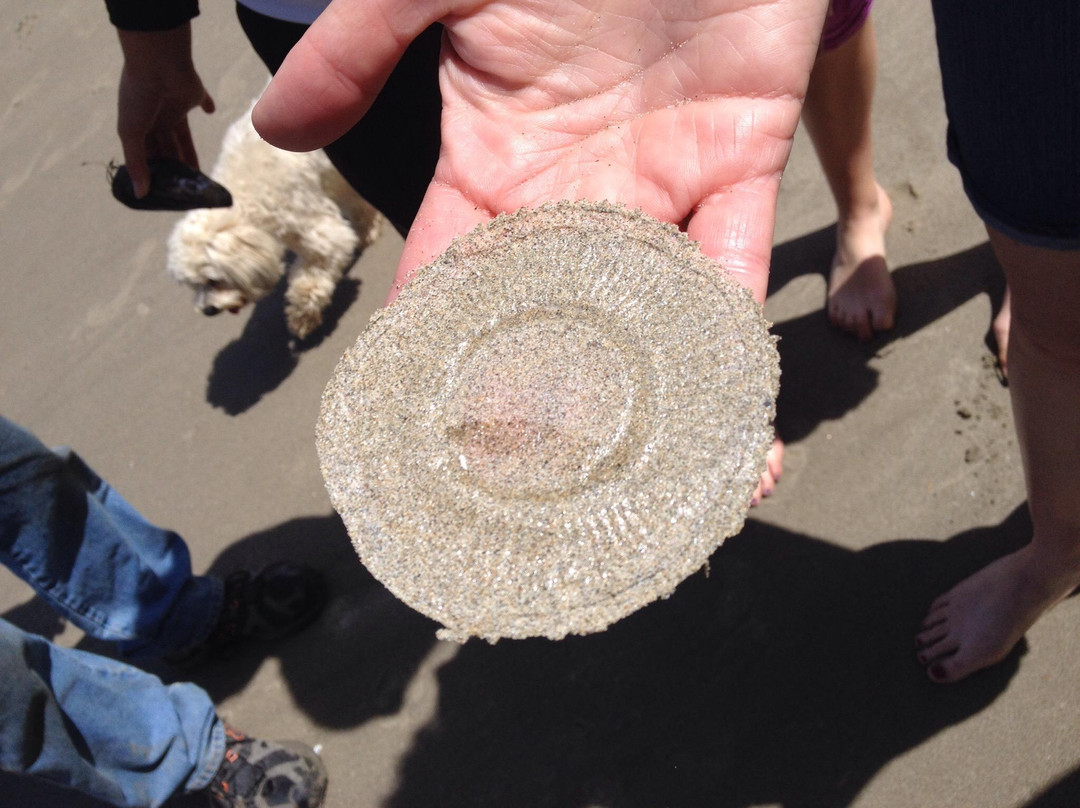 Hobbit Trail-弗洛伦斯必去景点