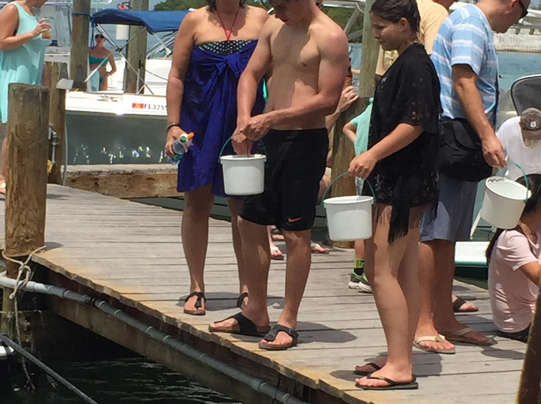 Robbie's Waverunners-伊斯拉摩拉达必去景点