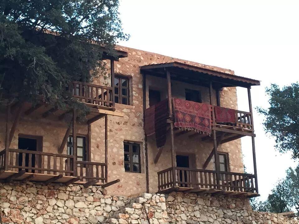 Apollonia Lodge-客卧