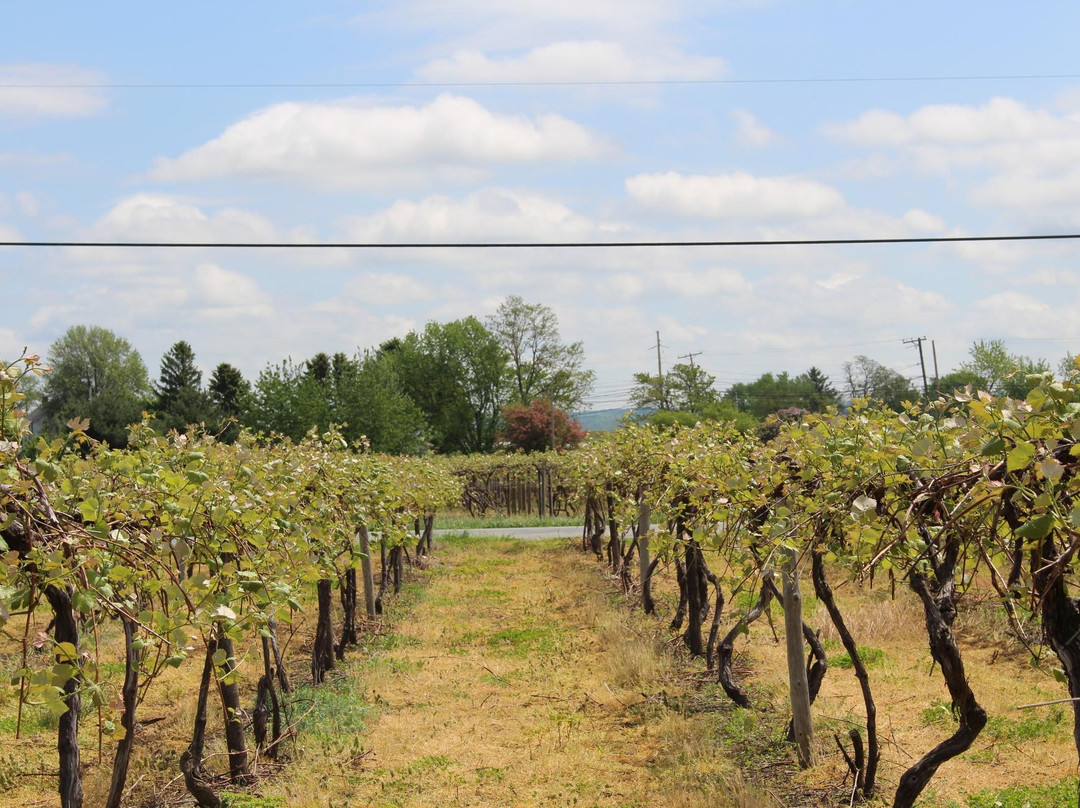 Presque Isle Wine Cellars-North East必去景点