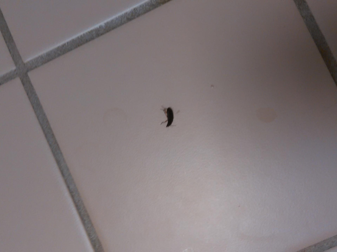 Inn at Clinton主图