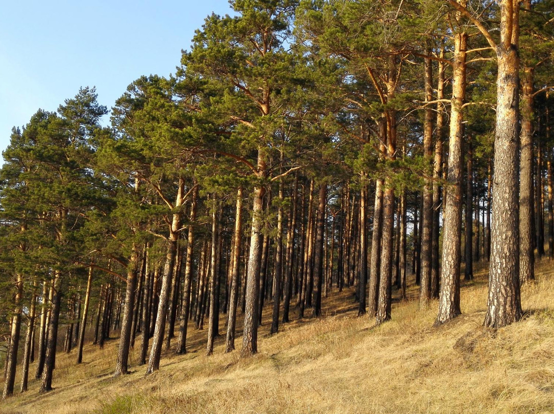 Kaiskaya Forest-伊尔库茨克必去景点