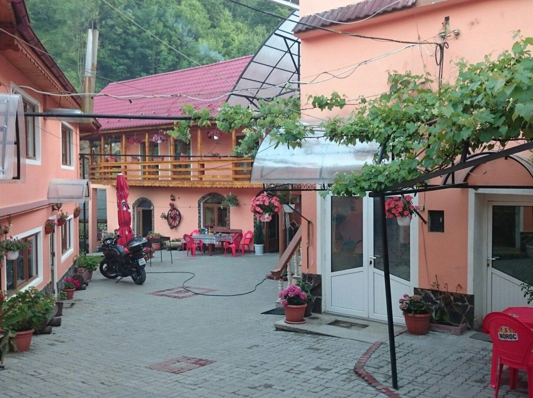Cainenii Mari酒店住宿-Pension Calborean