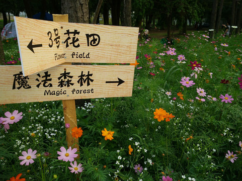 杭州东方文化园-杭州市必去景点