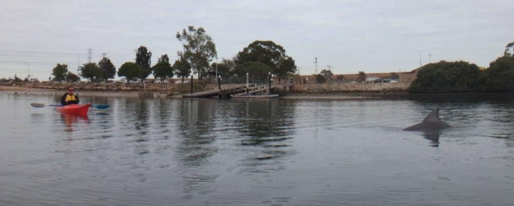 Adventure Kayaking SA-阿德莱德必去景点