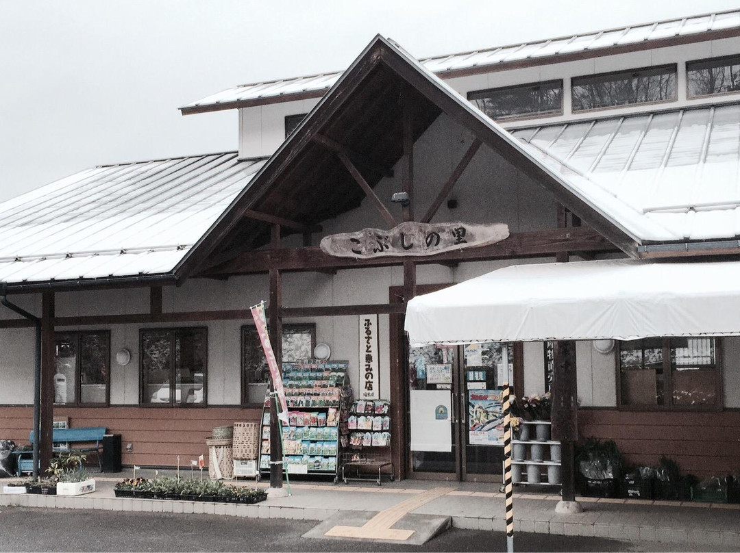 Michi-no-Eki Tamakawa Kobushi no Sato-玉川村必去景点