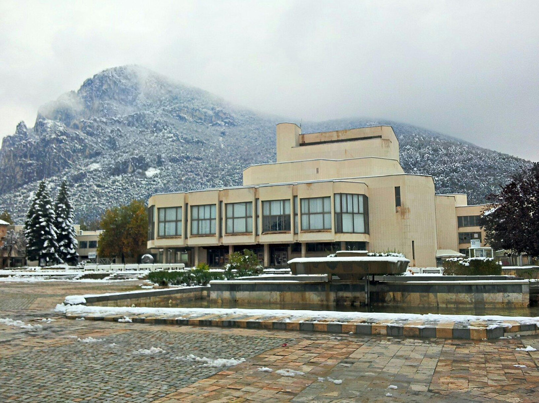 Vratsa Historical Museum景点图片