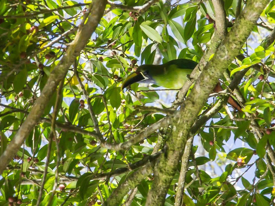 Casa Campo Verde主图