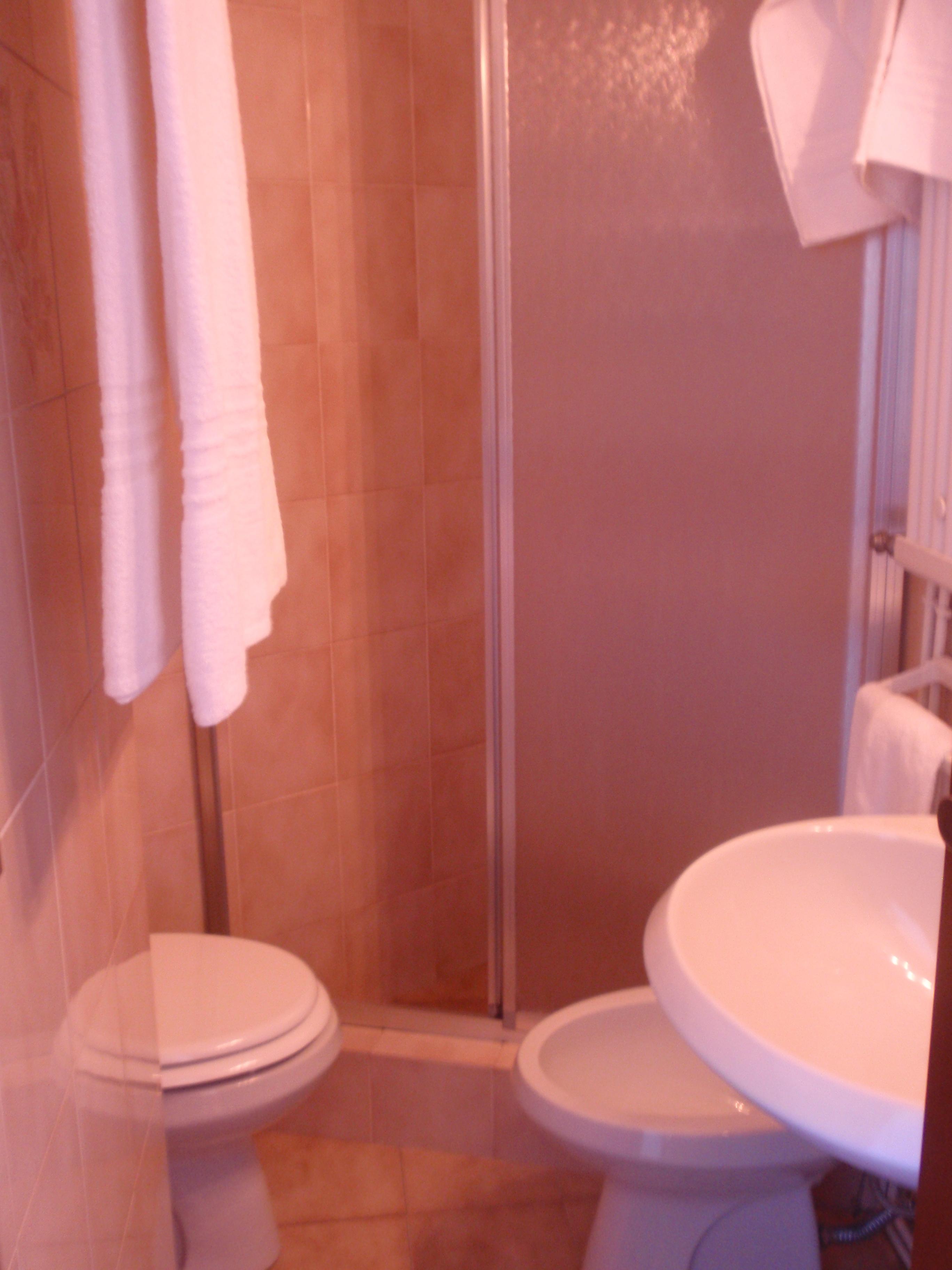 Hotel Villa Rosy-浴室