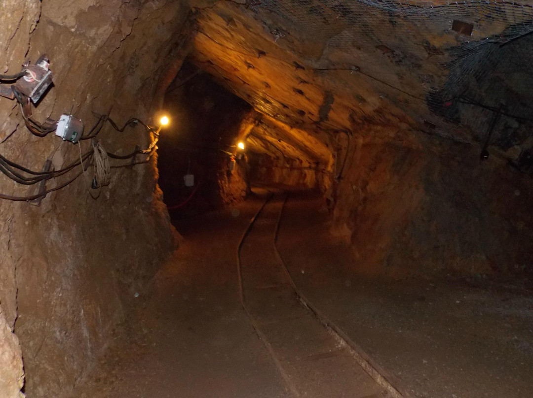 Vagonetto-Fokis Mining Park Tours-Amfissa必去景点