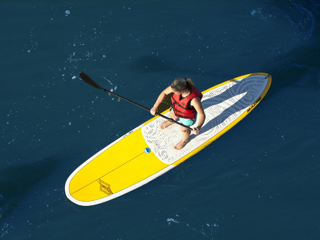 Higher Ground Outfitters-博福特必去景点