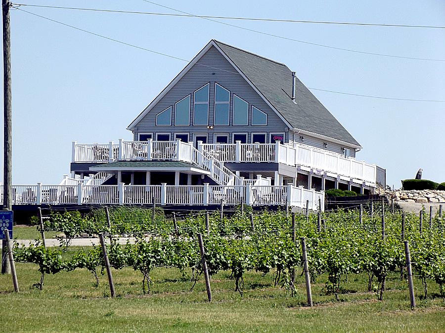 Contessa Wine Cellars Tasting Room-Coloma必去景点