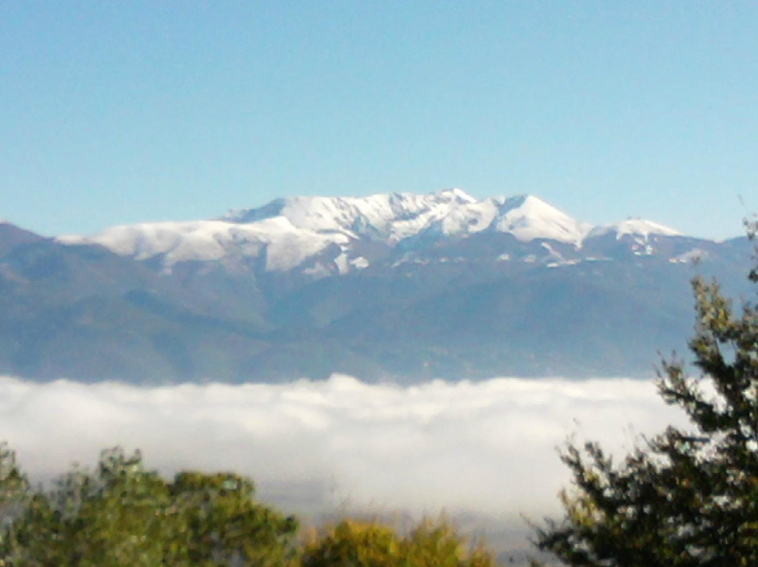Bed & Breakfast L'Arca di Noe主图