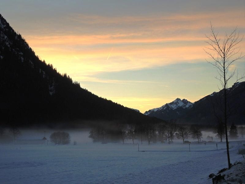 Ettal Wintersport: Wildfutterung im Grasswangtal景点图片