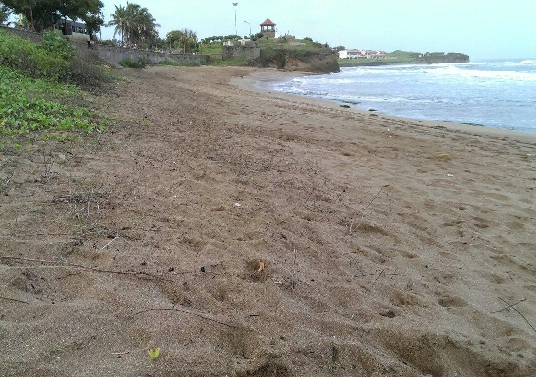 Jallandhar Beach-弟乌必去景点