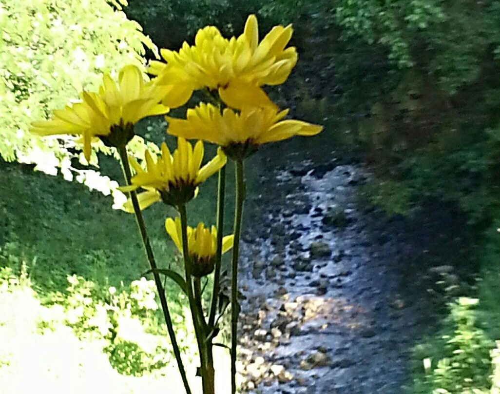 Eureka Springs & North Arkansas Railway-尤里卡斯普林斯必去景点