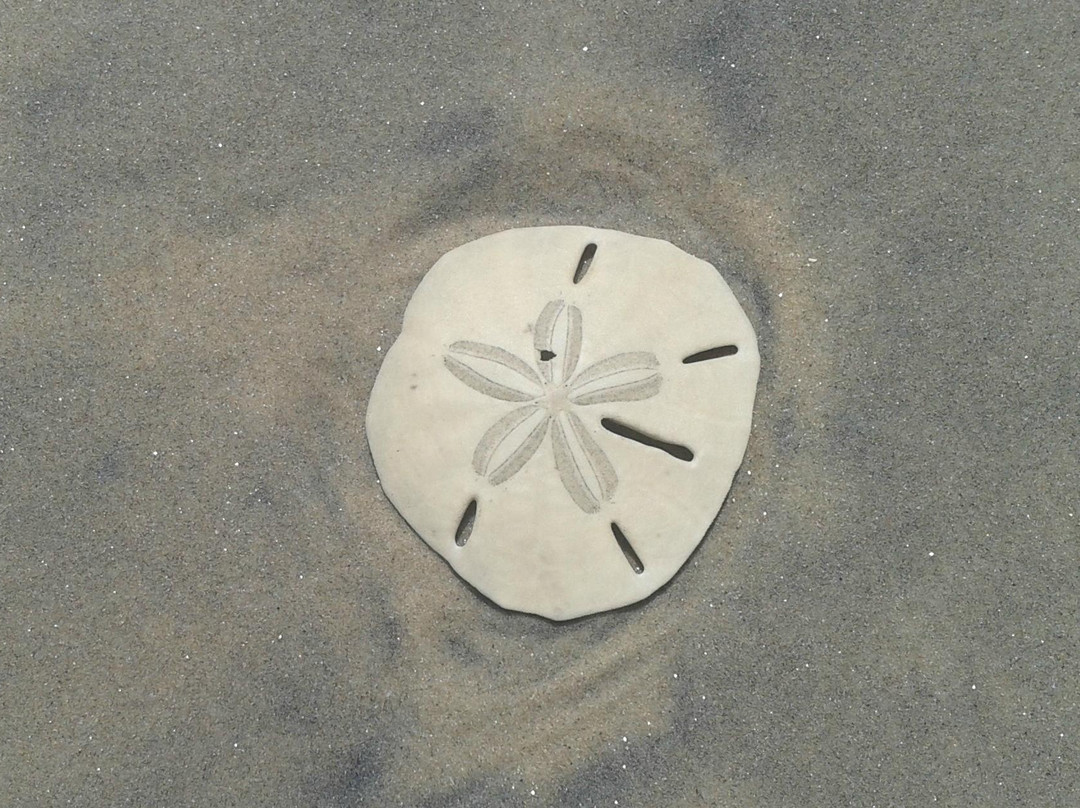 Aldeia de pescadores-Canoa Quebrada必去景点