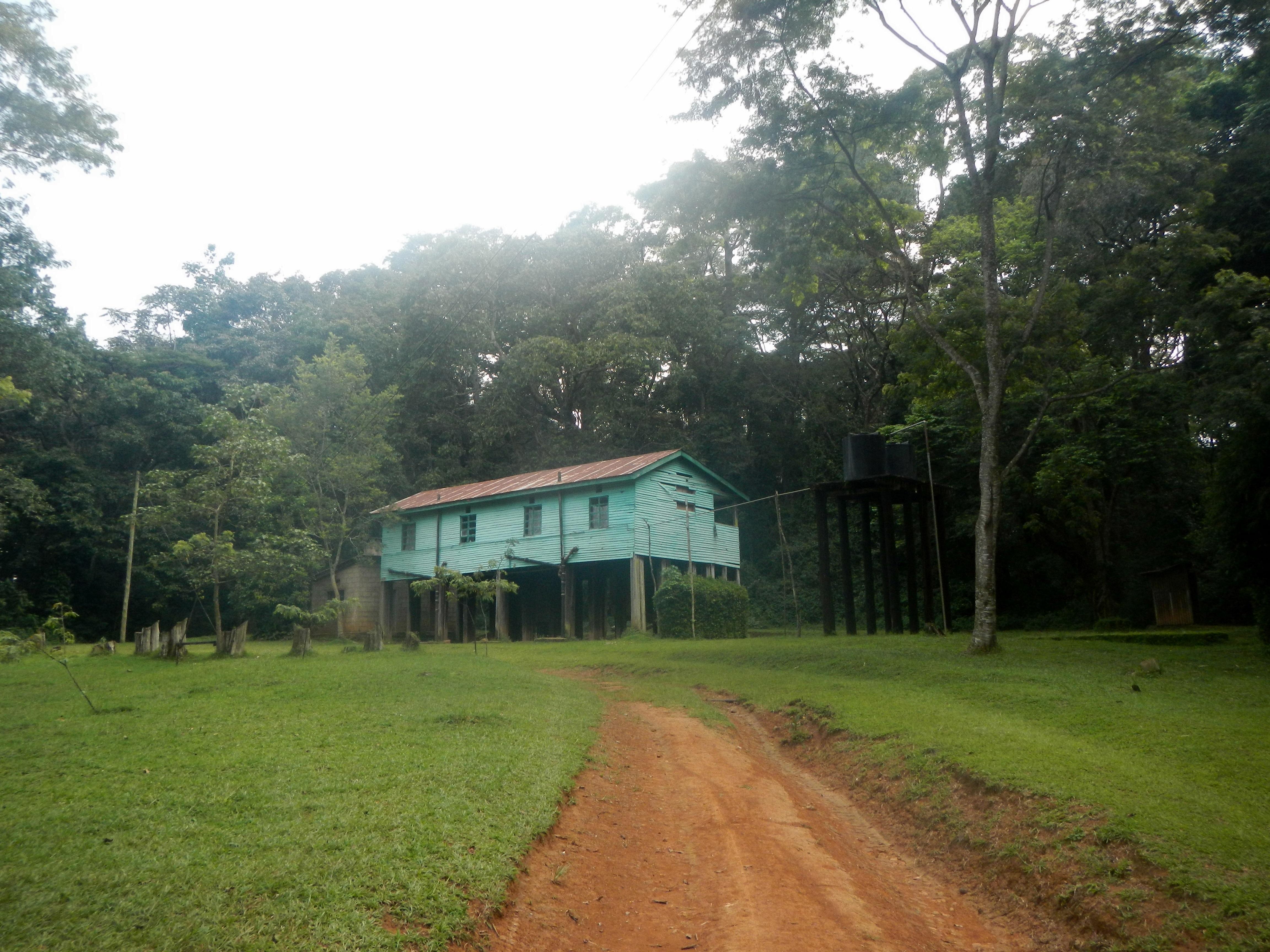 KEEP Bandas at Kakamega Forest-客卧