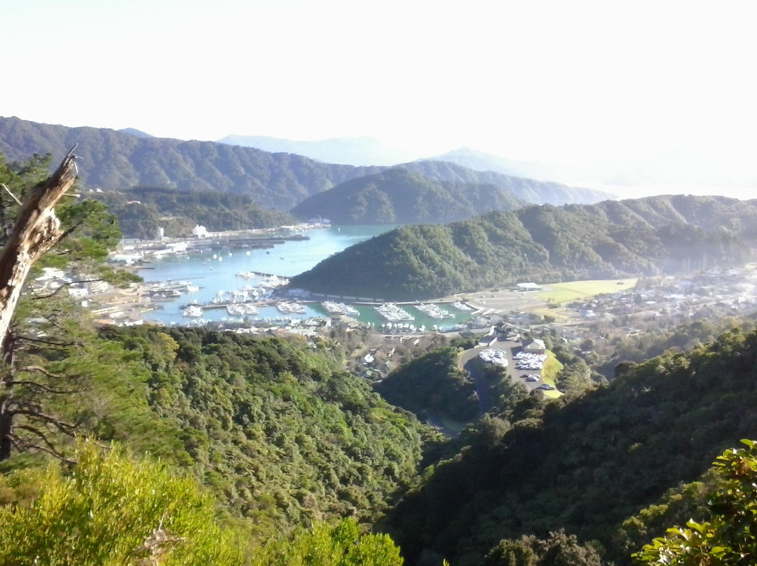 Tirohanga Track景点图片