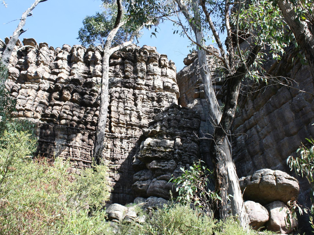 Natural Treasures Tour - Day Tours-New Gisborne必去景点