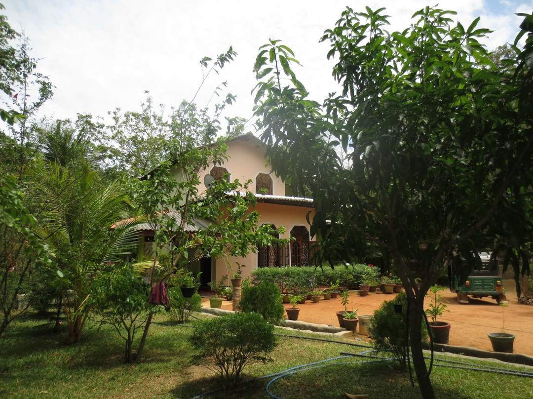 Golden Rainbow Guesthouse