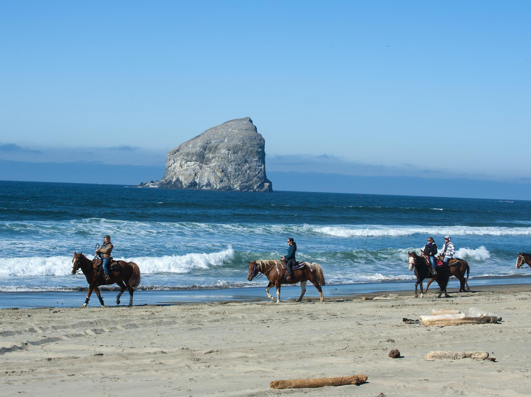 Green Acres Beach & Trail Rides-太平洋城必去景点