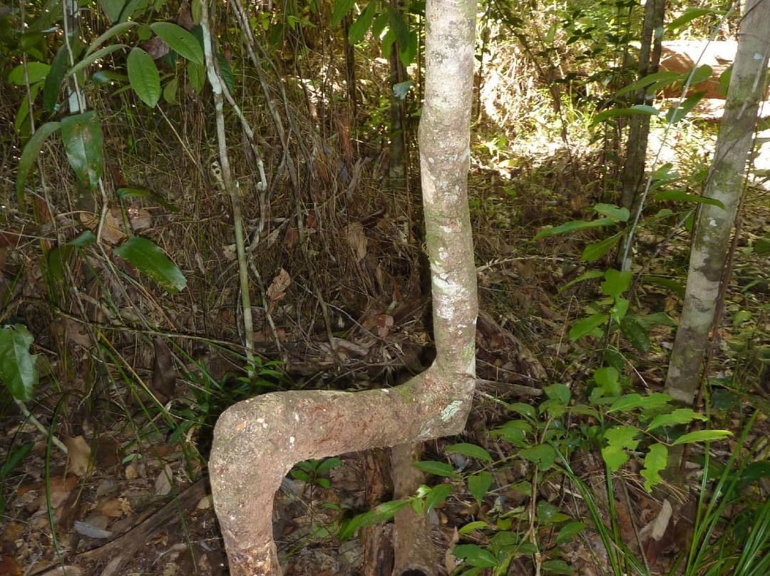 Ingan Tours- Day Tours-Tully必去景点