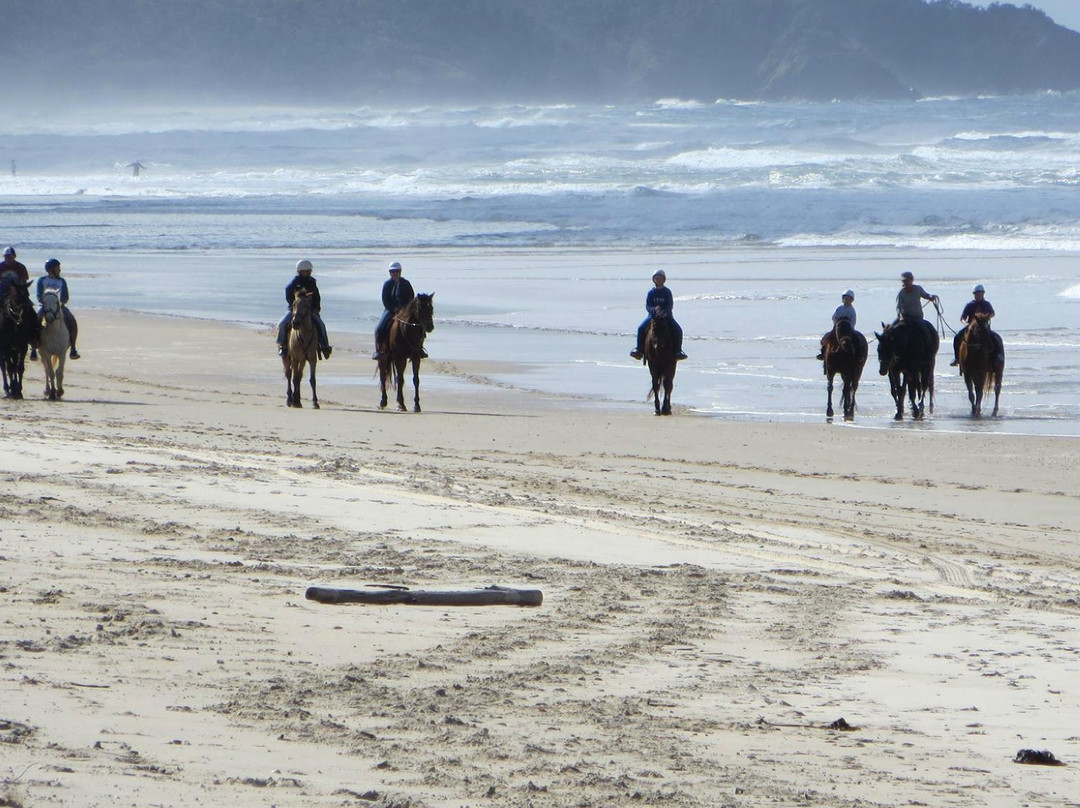 Pegasus Park Equestrian Centre-Binna Burra必去景点