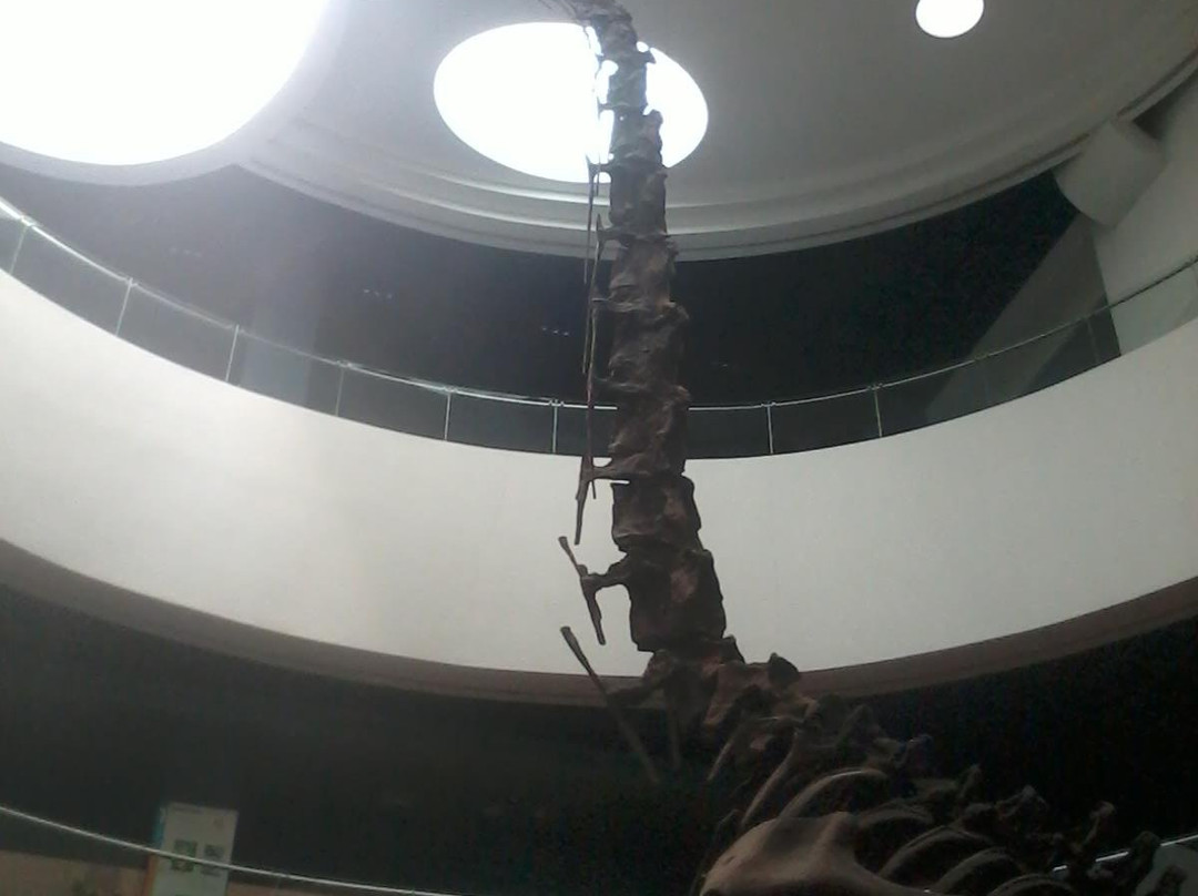 昆明动物博物馆-昆明市必去景点