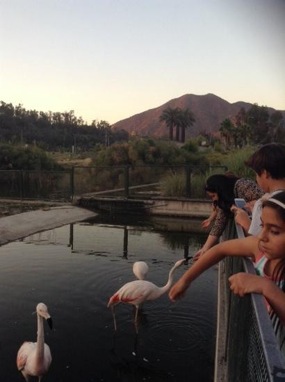 两百年公园-圣地亚哥必去景点