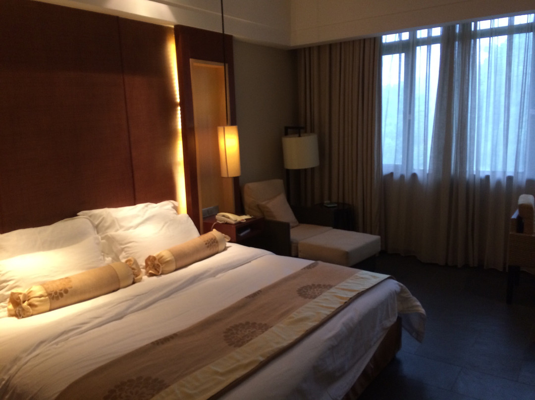 三江森林温泉杜马仕酒店主图