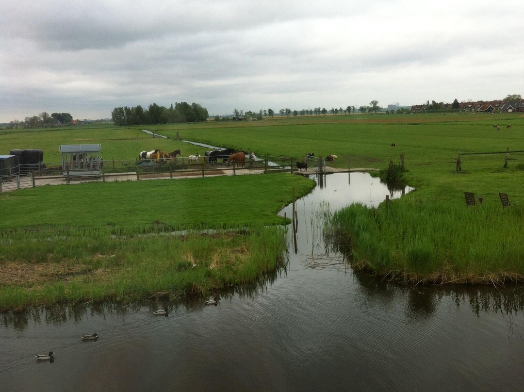 B&B De Schaapskooi主图